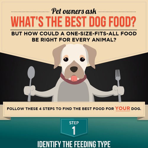 Company design with the title 'What is the best dog food?'