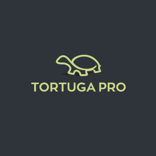 Tortoise logo with the title 'LOGO FOR TORTUGAPRO'