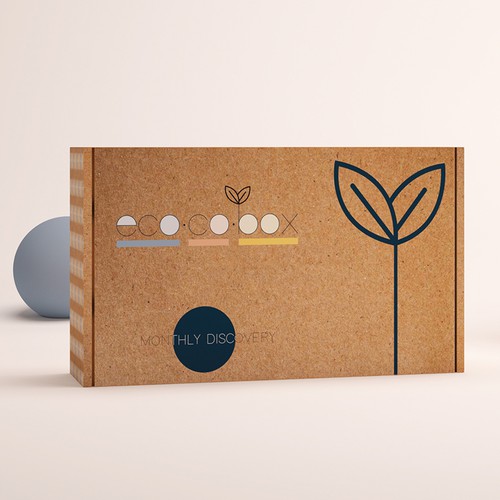 Minimal packaging with the title 'Subscription Box'