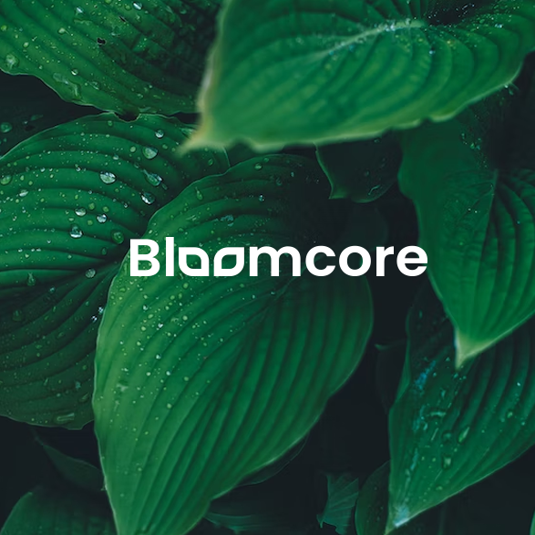 Bloom design with the title 'bloomcore'