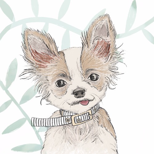 Card illustration with the title 'Penelope, the chihuahua'