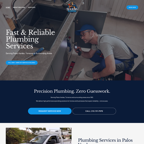Plumbing design with the title 'Sea King Plumbing'