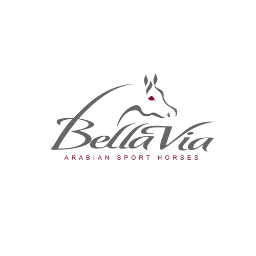 Horse stable logo with the title 'Horse for bv'