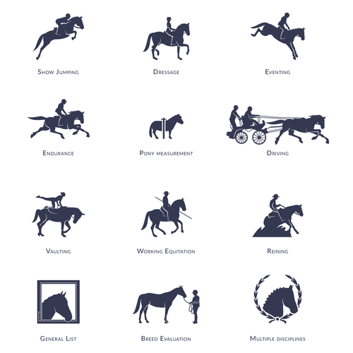 Shape design with the title 'Equestrian icons'