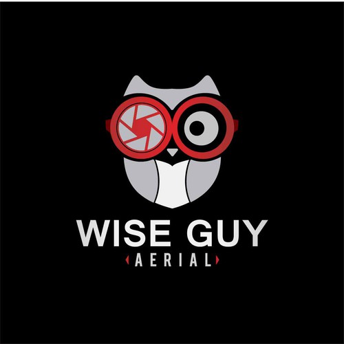 Drone photography logo with the title 'Wise Guy Aerial'