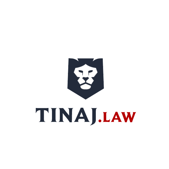 Basketball lion logo with the title 'Law firm logo'