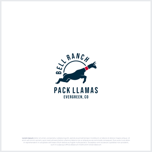 Literal logo with the title 'Bell Ranch Pack Llamas'