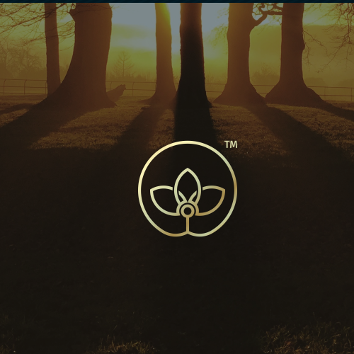 Simple logo with the title 'holistic musculoskeletal medicine'