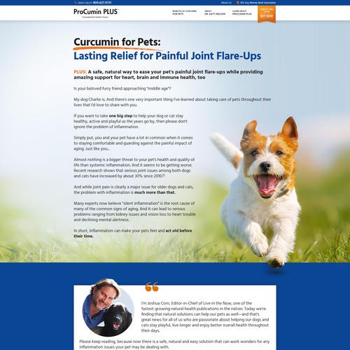 Shopping design with the title 'Product Landing Page'
