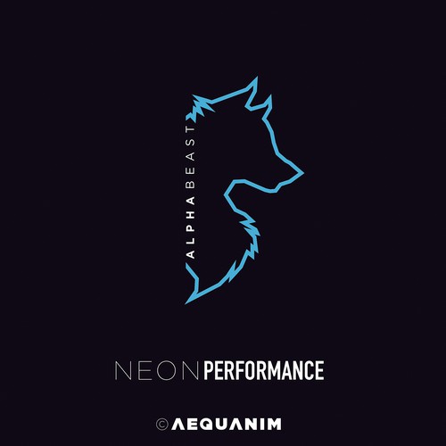 Neon t-shirt with the title 'Gym Sportswear Concept by AEQUANIM'