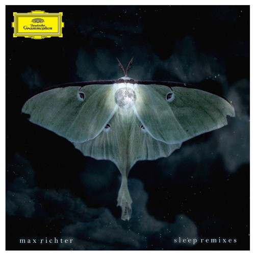 Photography artwork with the title 'Album cover concept for Max Richter'