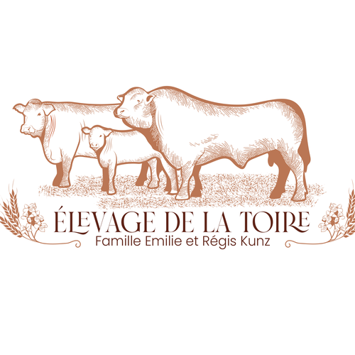 Organic artwork with the title 'Vintage logo concept for cattle's breeder'