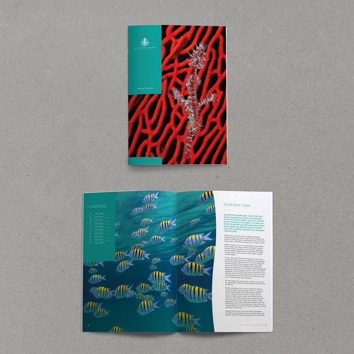 Proposal design with the title 'Coral Kingdoms of Saudi Arabia'