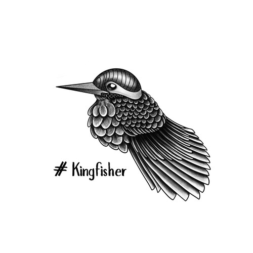 Black and white artwork with the title 'Kingfisher Illustration '