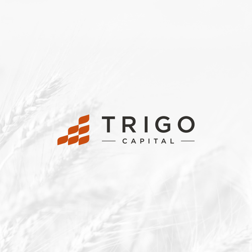 Wheat design with the title 'Custom logo design & brand guide for an investment firm.'