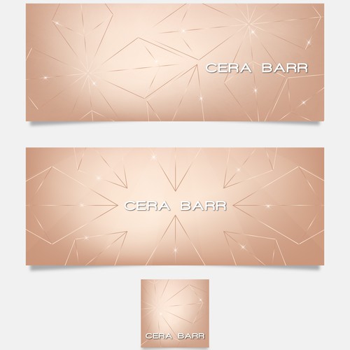 Profile design with the title 'Cera Barr Jewelry '