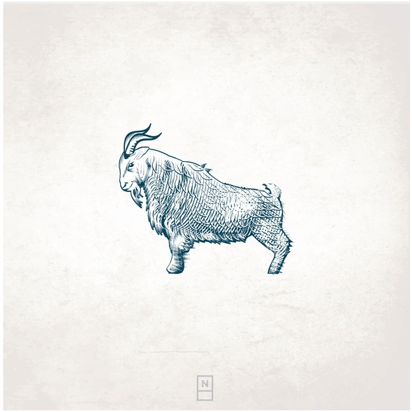Goat illustration with the title 'Illustration for eyewear company'