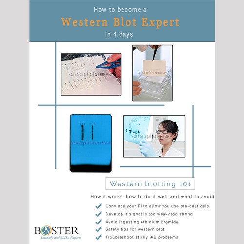 Expert design with the title 'E-book cover'