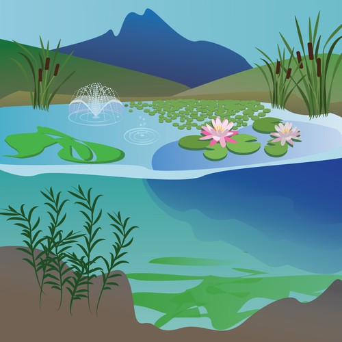 Lake illustration with the title 'illustration for aquatic control company'