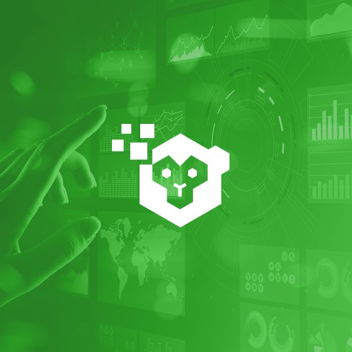 Monkey brand with the title 'DataChimp'