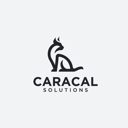 Cat brand with the title 'Caracal Solutions'