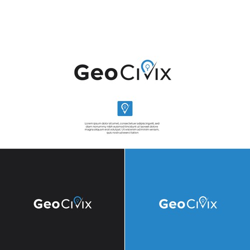 Programmer logo with the title 'Design Concept for Government Software Company'