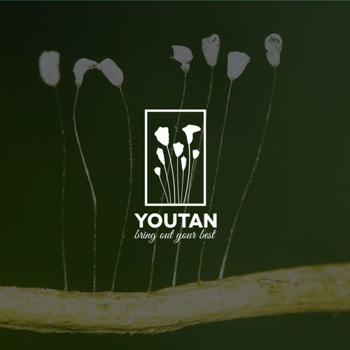 White logo with the title 'House Ware logo'