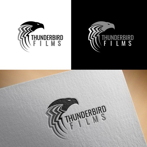 Thunderbird inspired logo redesign and city jersey from a graphic design  project I did for school. : r/Thunder