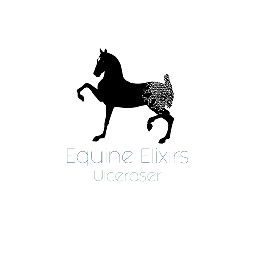 Riding logo with the title 'Logo for equestrian comapny'