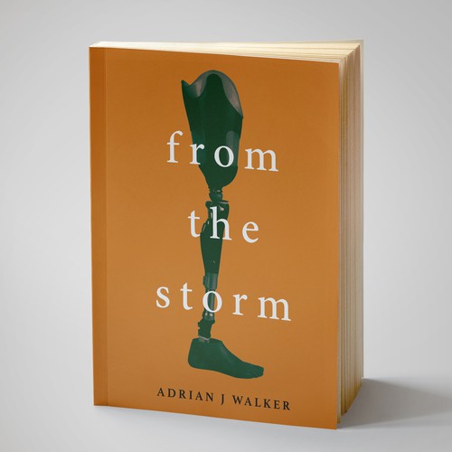 Minimal book cover with the title 'Cover design for novel'