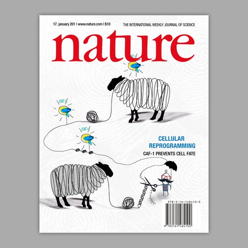 Innovative design with the title 'Nature journal cover'