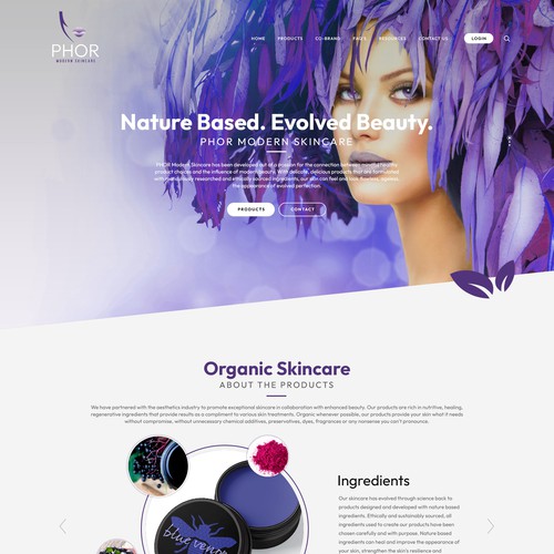 Infographic website with the title 'PHOR Website Design'