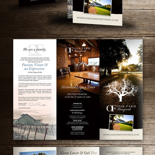 Tri-fold design with the title 'trifold brochure'