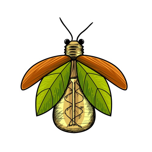 Firefly logo with the title 'Hand-drawn logo for a firefly with lightbulb body'