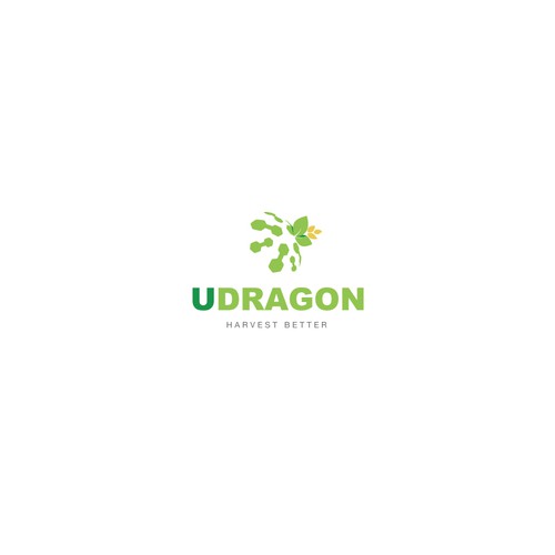 Formula design with the title 'UDRAGON'