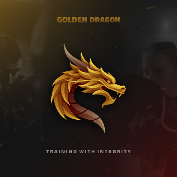 3d hexagon logo with the title 'Logo Illustration for Golden Dragon'