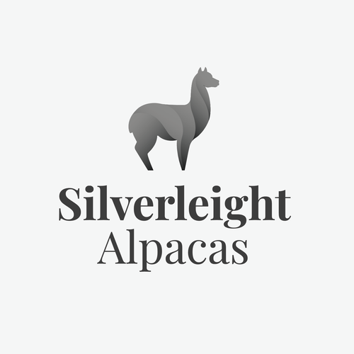 Alpaca logo with the title 'Modern alpaca'