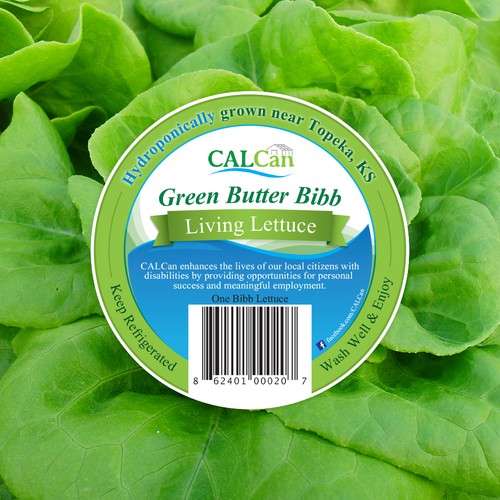Hydroponics design with the title 'Lettuce package sticker'