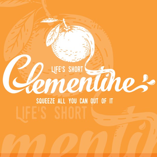 Van logo with the title 'Clementine campervan'