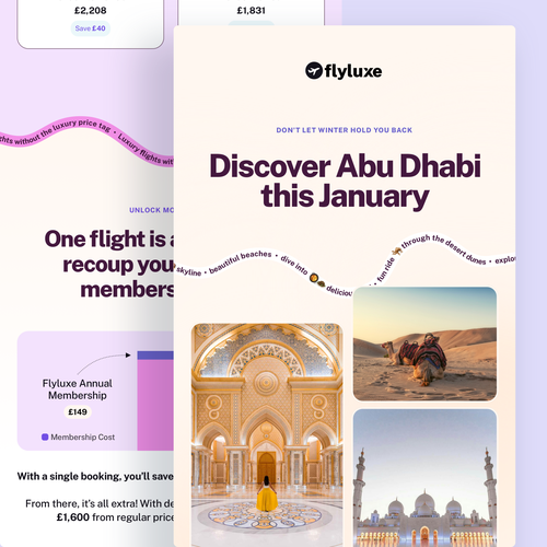 Airline design with the title 'Business Class Flight Deals Newsletter'