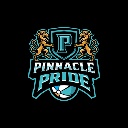 Aqua logo with the title 'Pinnacle Groves Beach Ball Team Logo'