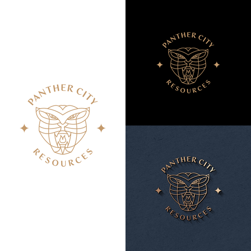 Black panther logo with the title 'panther'