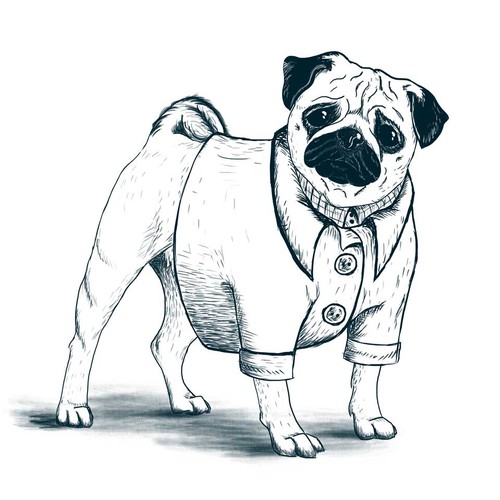 Pet illustration with the title 'Illustration for doggy apparel company'