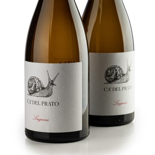 Wine label with the title 'Hand-drawn label design for Ca' Del Prato'