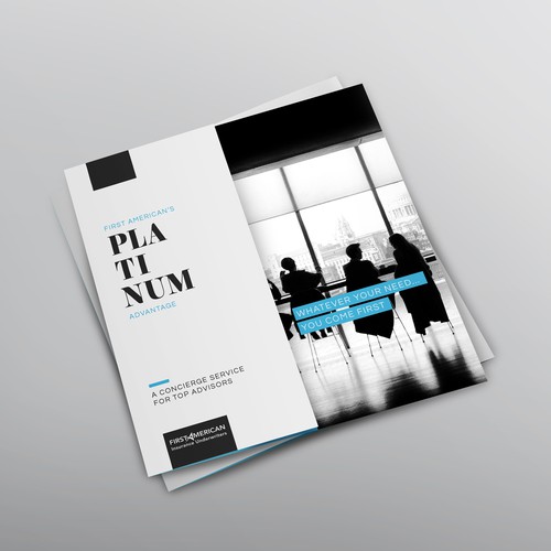 Tri-fold design with the title 'Sophisticated brochure for Platinum program'