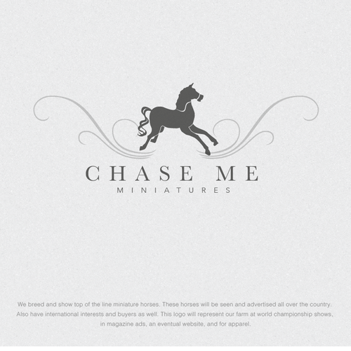 Feminine logo with the title 'Catch Me Miniatures'