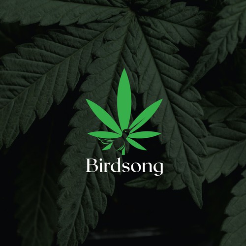 Cannabis leaf logo with the title 'Birdsong: A new cannabis product brand focused on connection and self-improvement.'