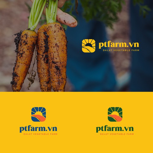 Vietnam logo with the title 'Logo Design'