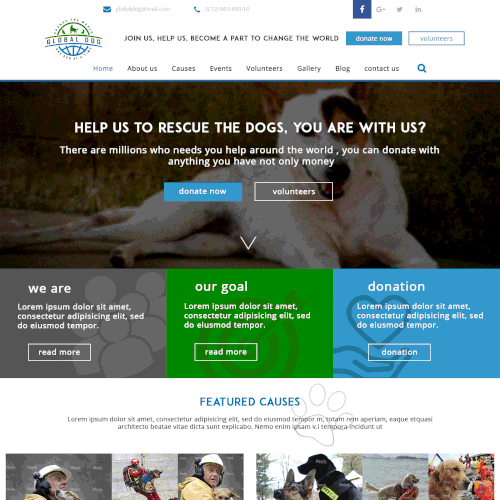 Charity website with the title 'rescue dog home page'