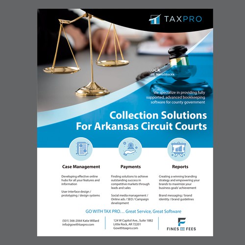 B2B design with the title 'Software Company needs flyer'